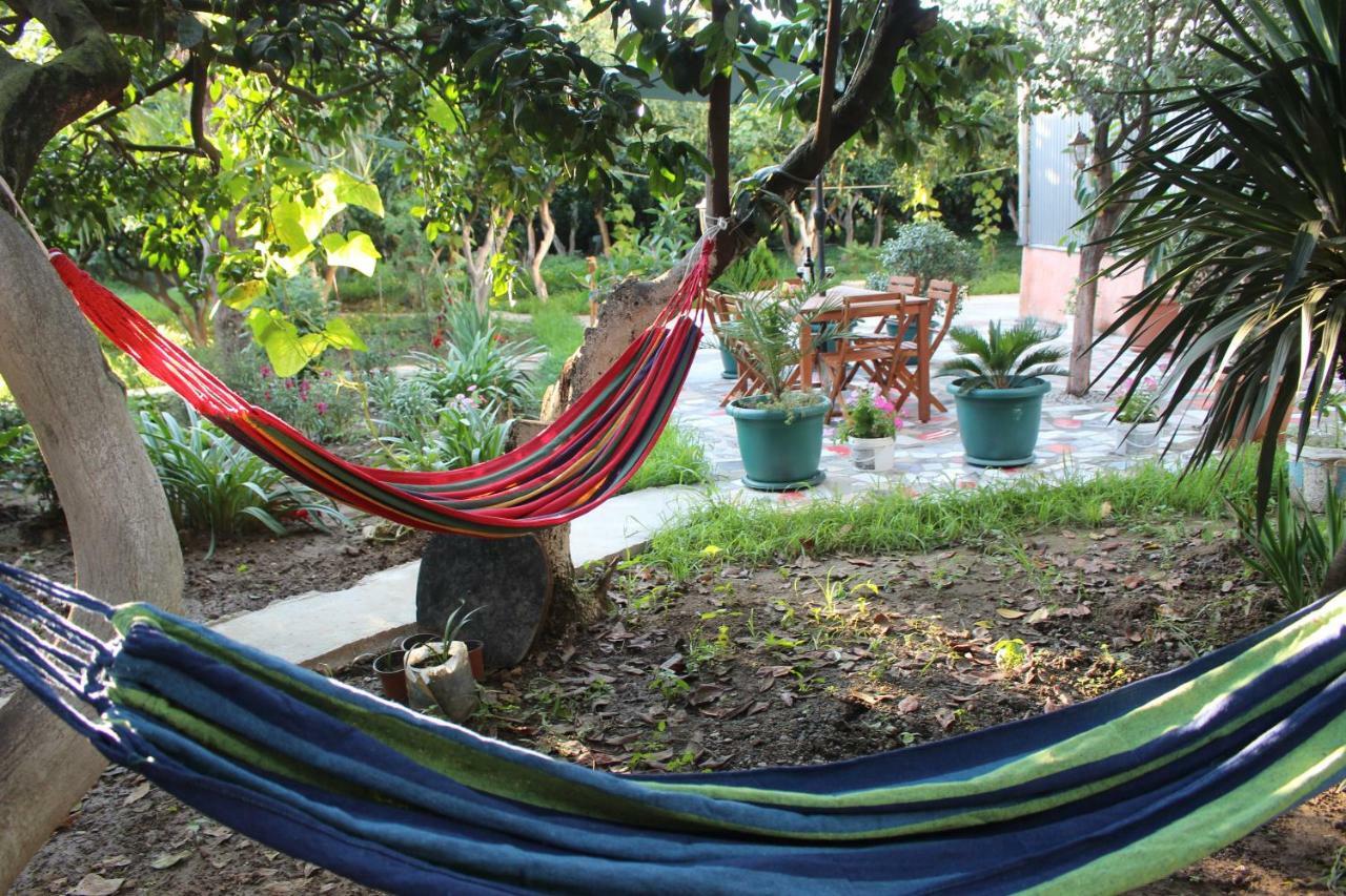 Greenview Guesthouse บาทูมิ ภายนอก รูปภาพ